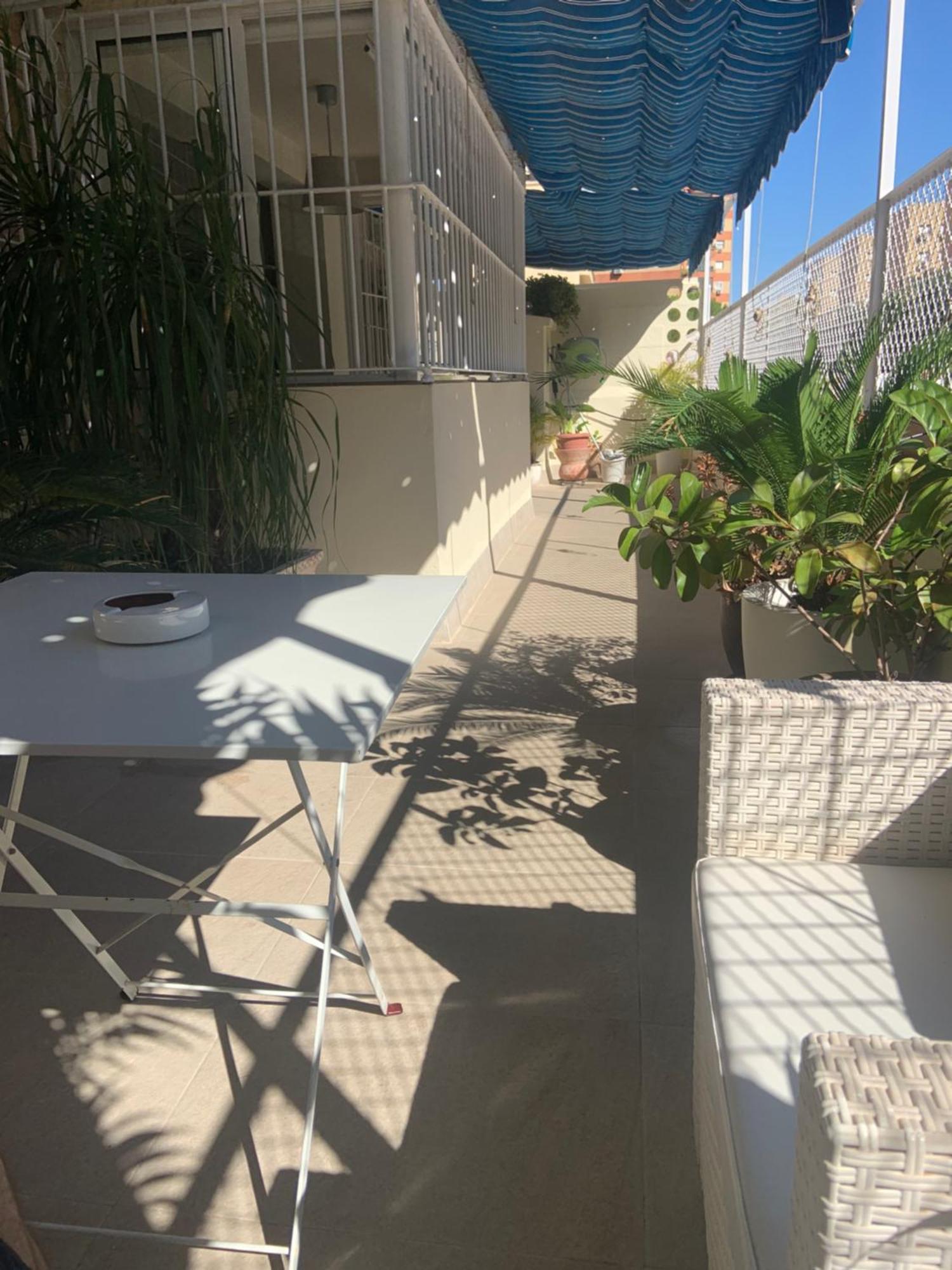 Apartamento Jardin Cerca Del Centro Севілья Екстер'єр фото
